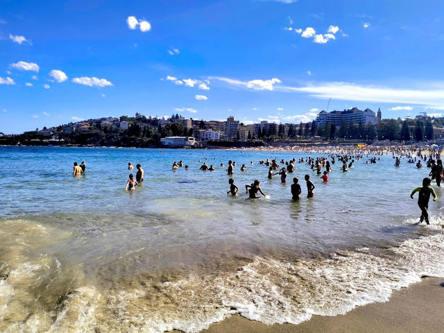 A popular beach in Sydney