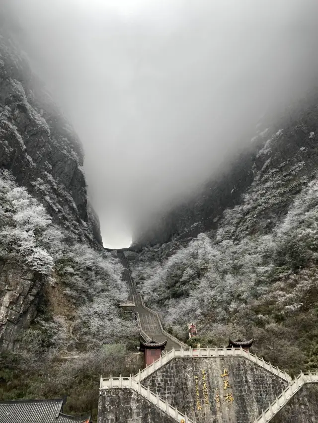 張家界｜天門山-索道🚠上天梯🚡