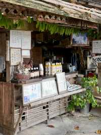 【沖縄/北部】世界遺産今帰仁城跡・伝統的な石垣と絶景