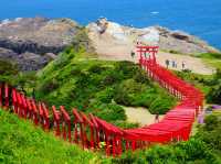 【鳥居と海が見える絶景スポット★】元乃隅神社