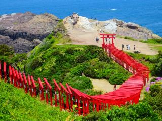 【A Scenic Spot with a View of Torii Gates and the Sea】Motonosumi Shrine