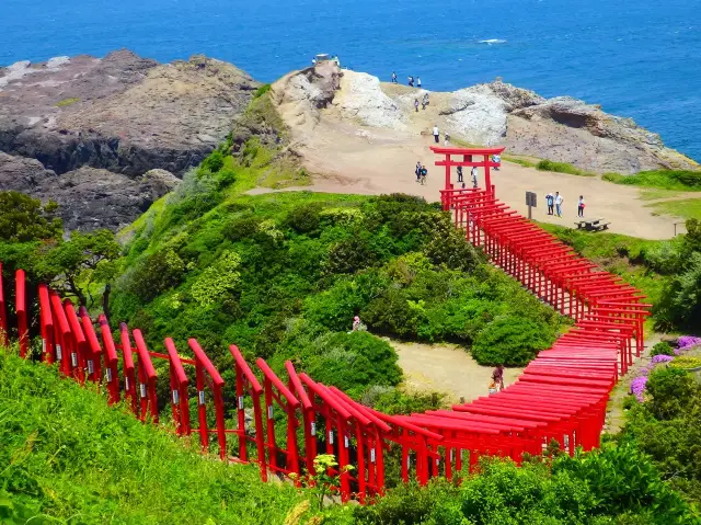 【鳥居と海が見える絶景スポット★】元乃隅神社