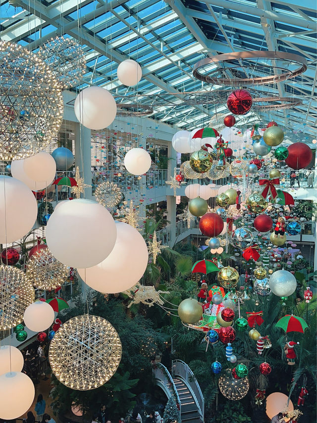 겨울에는 온실카페에서 데이트를! 연말엔 더 예뻐🎄