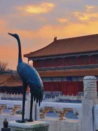北京丨紅墻內的景色丨北京故宮博物院