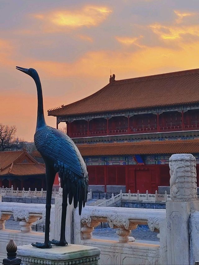 北京丨紅墻內的景色丨北京故宮博物院