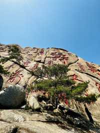 라오산(崂山) 양구(仰口,양코우) 풍경구