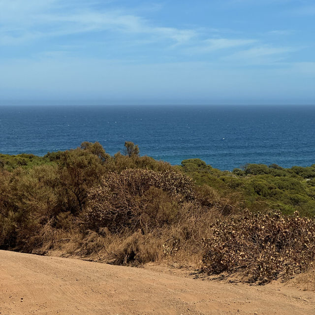 I really like the coastline in Perth!