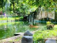 National Zoo of Malaysia