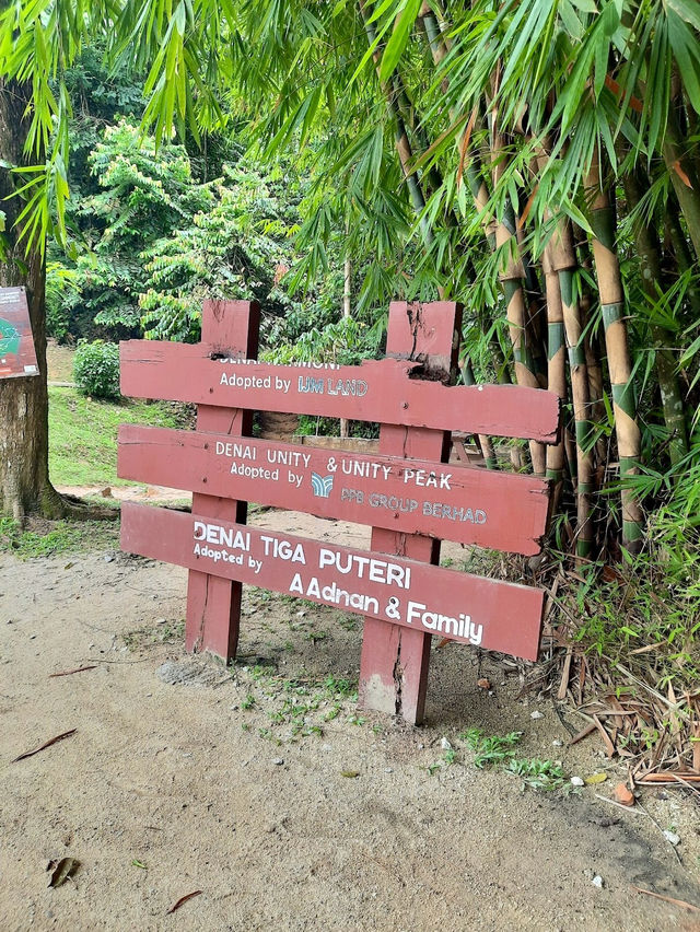 Kota Damansara Community Forest Reserve