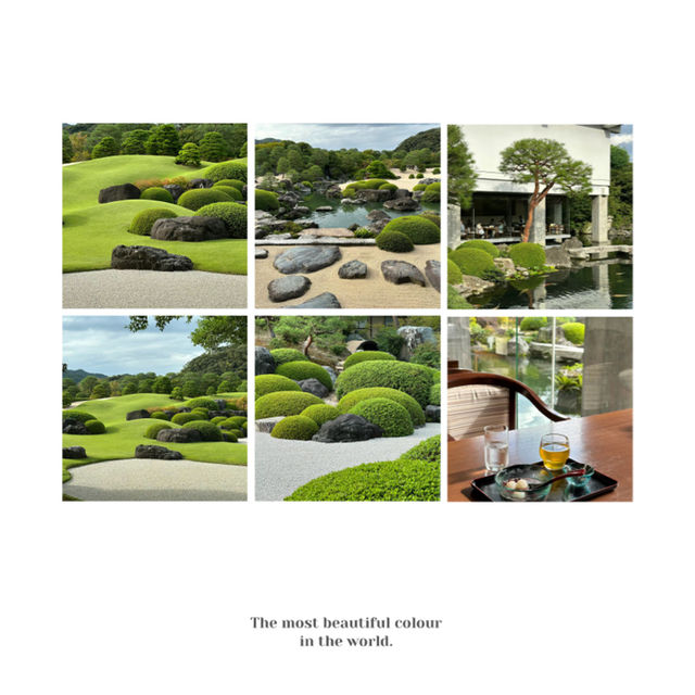 「銀河庭園：春天好去處」