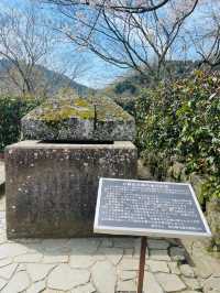 【奈良県】満開の桜と石舞台古墳を堪能！