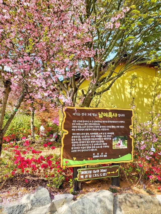 4월 전남에서 가장 핫한 봄여행코스🌸
