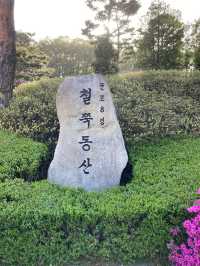 만개 임박🌸 군포 철쭉 축제