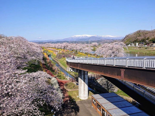 Amazing Shibata Senoko Bridge
