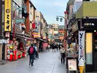 วัดคาวาซากิไดชิ  Kawasaki Daishi Temple