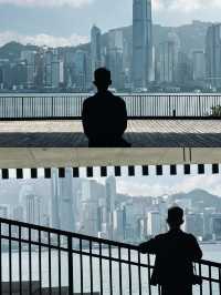 遊於藝海，M+視界