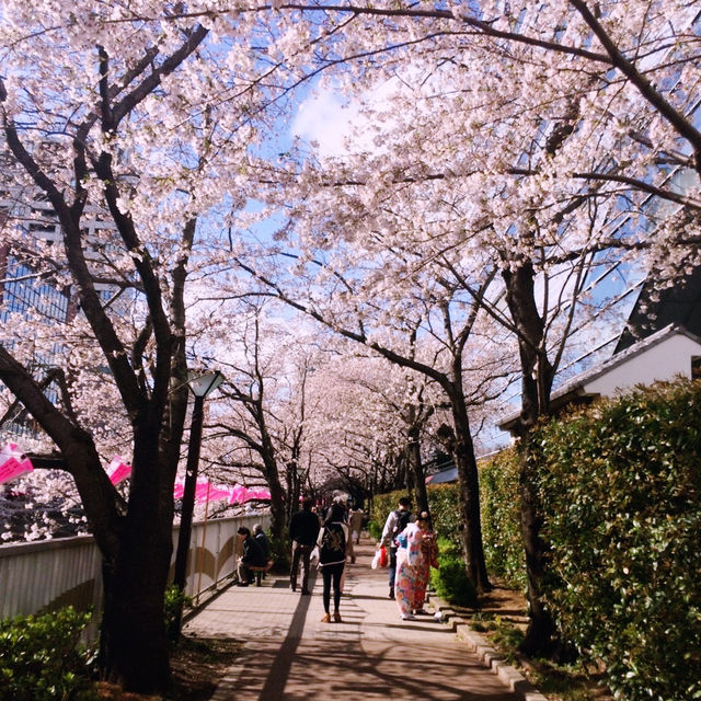 🌸中目黒桜🌸食べ歩き🚶‍♀️