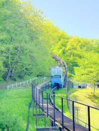 【長野/篠ノ井】めちゃくちゃかわいいモノレール🚝韓国のみたい 