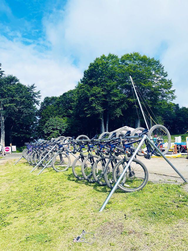 【長野県】白馬岩岳マウンテンリゾートを楽しむ