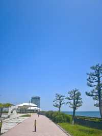 【鳥取　境港】散歩コースにも釣りにも