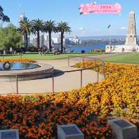 A Walk in the Park: Discovering Kings Park's Wonders