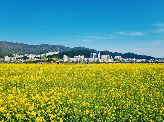 Daejeo Ecological Park