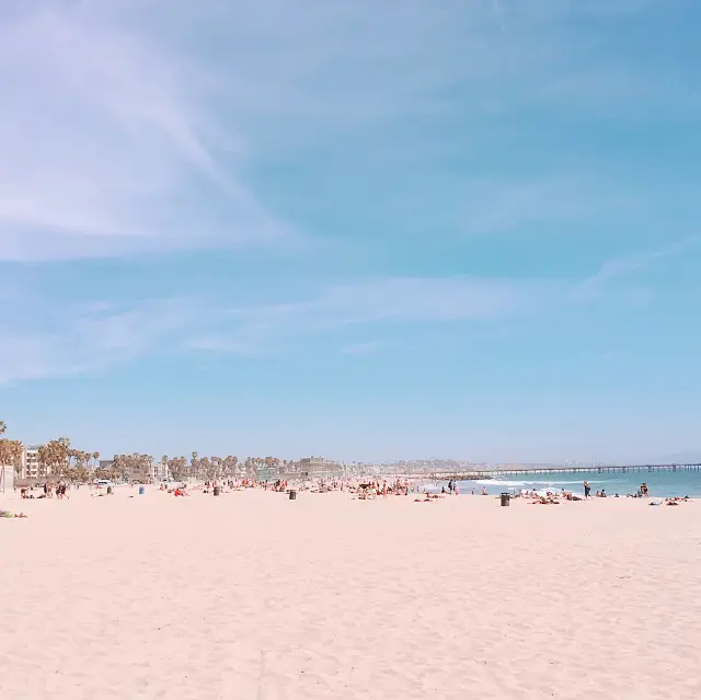 感受 LA Vibe 的好去處！艾 Abbot Kinney 大道和威尼斯海灘