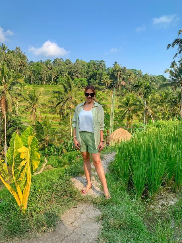 🇮🇩Rice Terraces in Bali-A Symphony of Nature💜