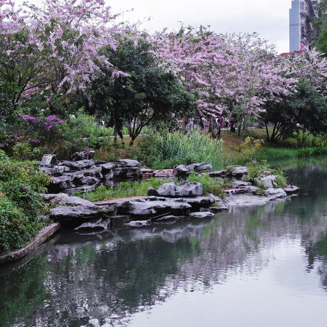 大湳公園～水鄉夢境