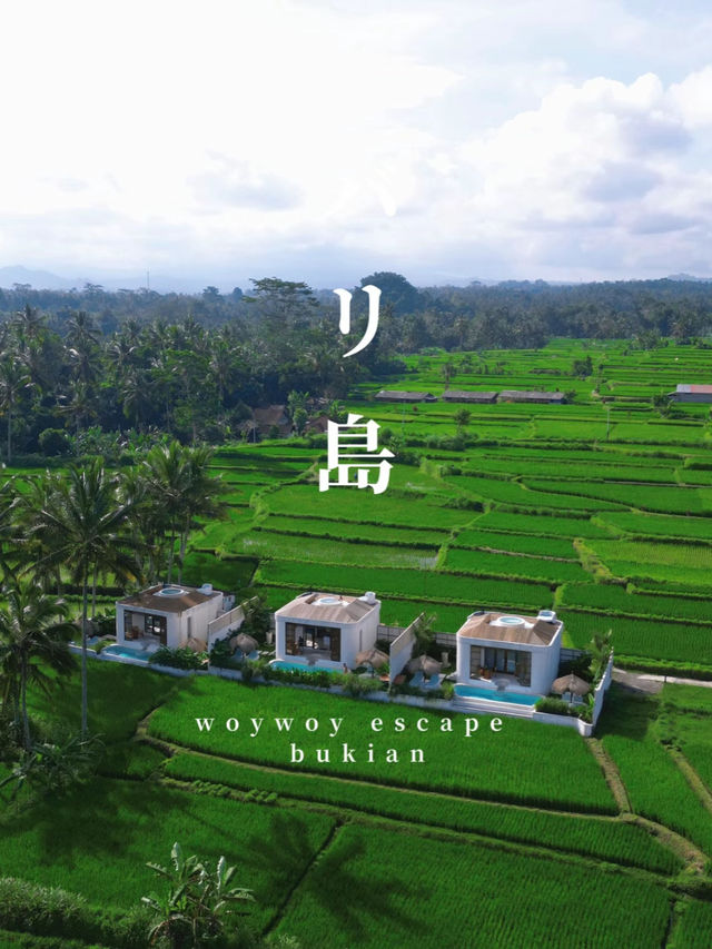 【バリ島】ライステラスに囲まれたヴィラが最高すぎた😫🌴