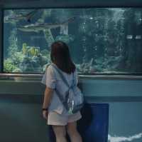 RAYONG AQUARIUM  