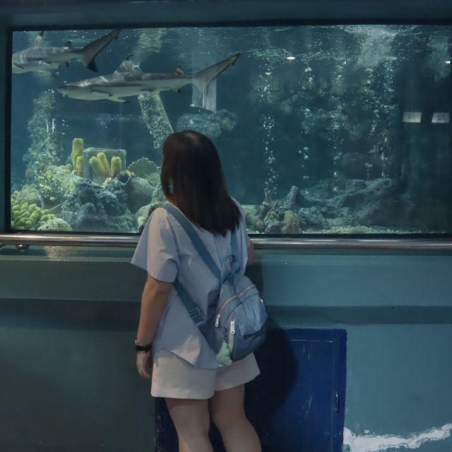 RAYONG AQUARIUM  