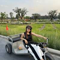 See stat&forest resort ค่าเฟ่เครื่องบินสกลนคร