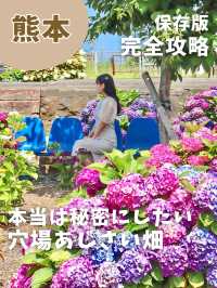 【熊本】本当は秘密にしたい！穴場あじさい畑