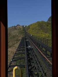 Fansipan Cable Car: Where Clouds and Laughter Collide!