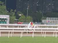 Must watch Horse Racing in Hong Kong 🇭🇰 🐎‼️