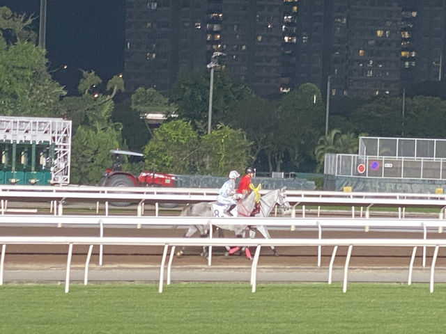 Must watch Horse Racing in Hong Kong 🇭🇰 🐎‼️