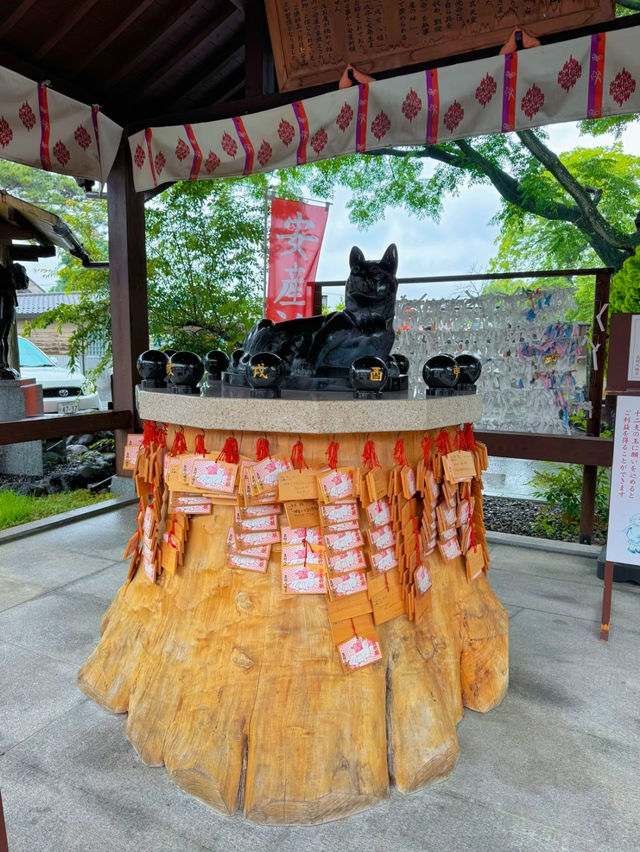 【群馬】戌・亥年の方に行ってほしい!!御朱印がかわいい🤍紫陽花見頃なパワスポ✨