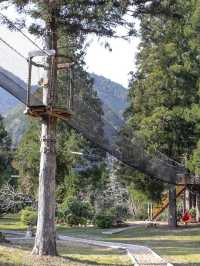 【十津川村】奈良の山奥の秘密基地『空中の村』でフランス由来の森林アクティビティを楽しもう！