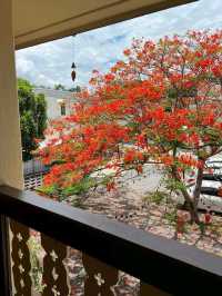 Baan 104 คาเฟ่บ้านล้านนาโคโลเนียลย่านวัดเกต