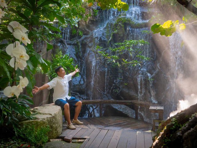 คาเฟ่และร้านอาหารใจกลางกรุง บรรยากาศสวนป่า 🌳🌳