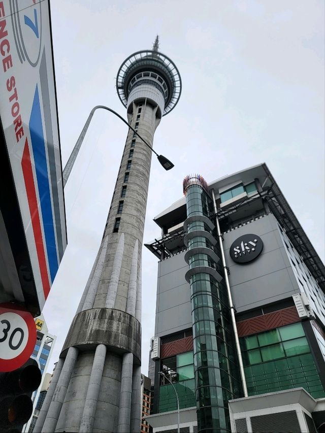 【奧克蘭】半日遊 皇后街最後衝刺