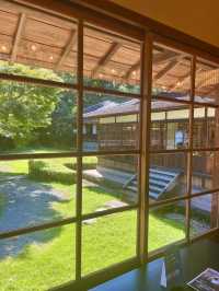 〜神奈川県〜初夏を感じる都会の癒しスポット