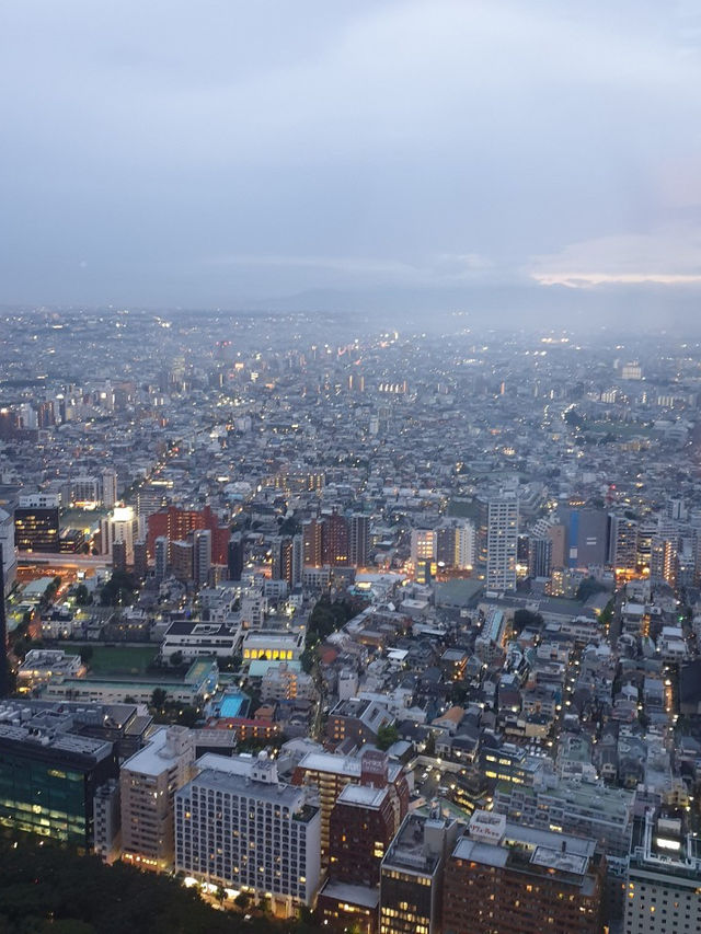 도쿄야경 스팟 총정리🌃