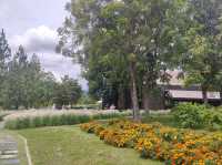 Pirom Cafe @ Khaoyai