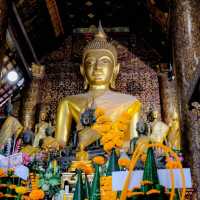 เที่ยวชม วัดเชียงทอง หลวงพระบาง