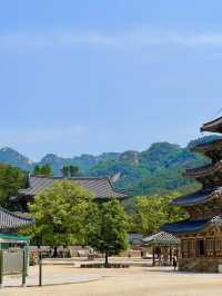 역사의 흔적이 느껴지는 🌟불교의 보물이 많은 🏞️ 충청북도 속리산 사찰여행지 추천