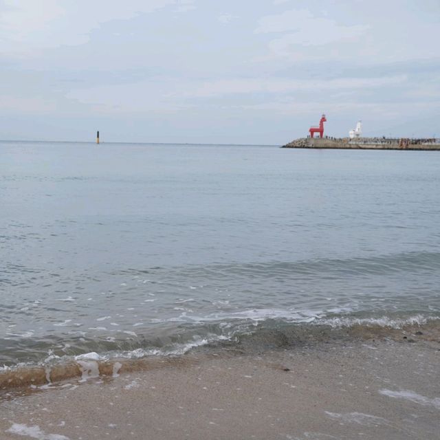 제주 여행 중 들려보면 좋은 이호테우해수욕장