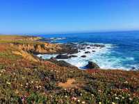 👣 Day Hike at Fiscalini Ranch Preserve