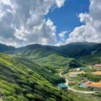 Add Cameron Highland to your holiday wishlist ! 